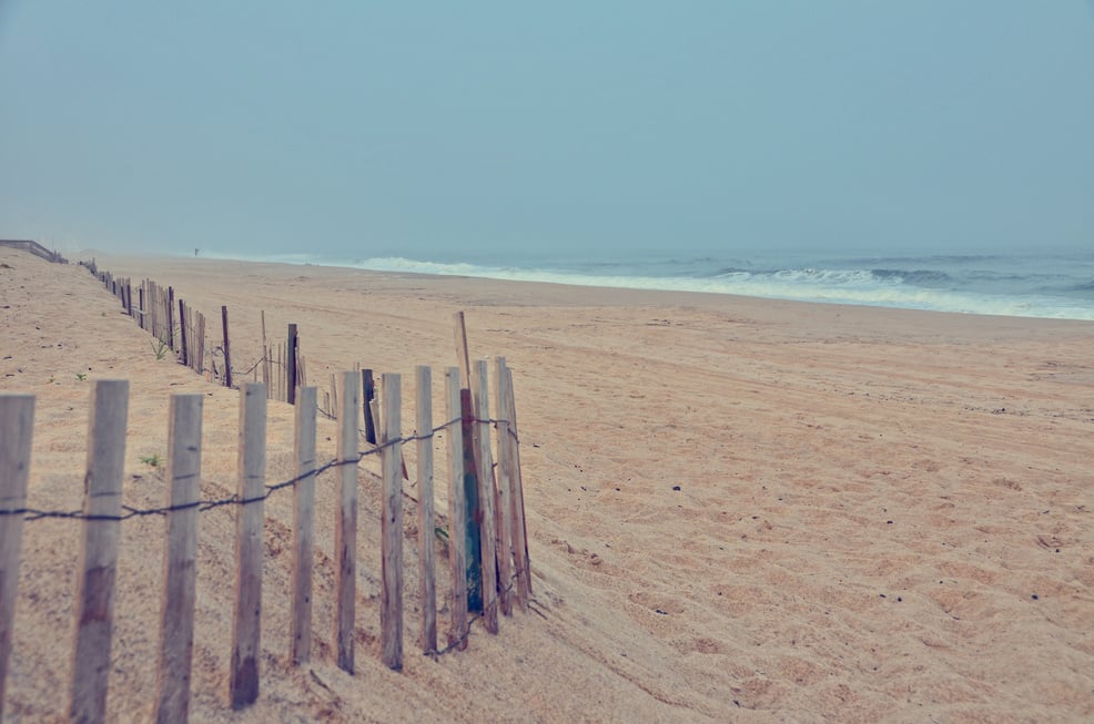 Hamptons Beach